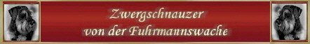 banner-fuhrmannswache1_1